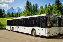 Аренда автобуса в Билибино на 45 мест с водителем