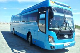 Аренда автобуса в Железногорске на 45-55 мест