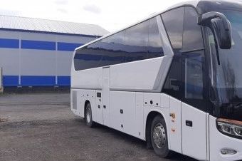 Пассажирские и грузовые перевозки по Киеву, области, Украине Летка