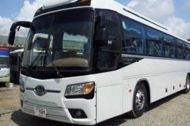 ЛЮБЫЕ ПАССАЖИРСКИЕ ПЕРЕВОЗКИ ПО РМ и РФ Торбеево