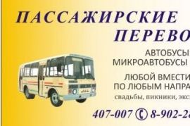 Перевозки пассажиров Электроугли
