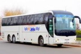 Аренда автобуса HIGER6928 Расшеватская