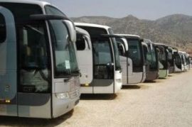 Микроавтобусы и автобусы туристического класса Химки